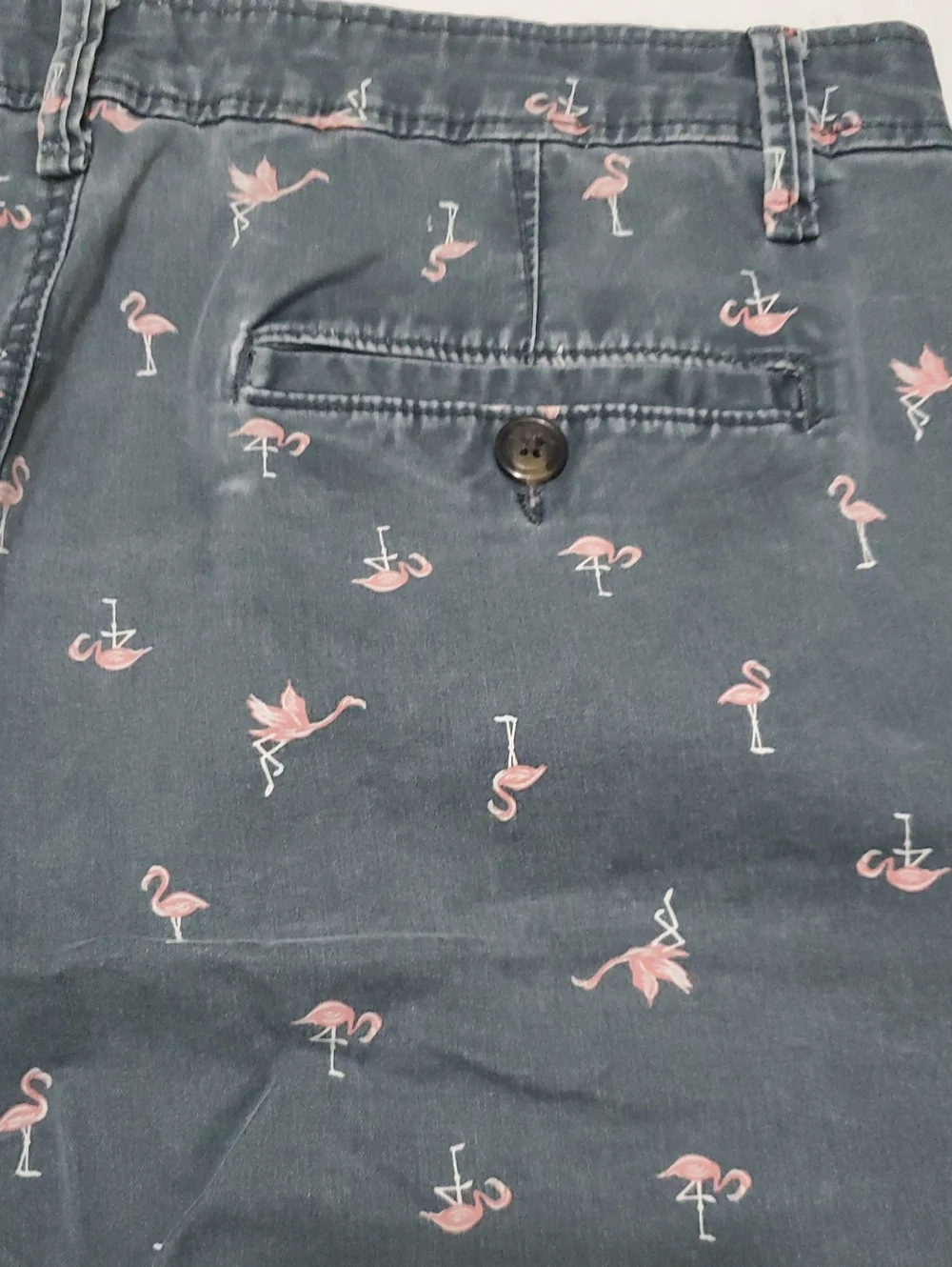 NWOT Aeropostale Gray Flamingo Summer Boardwalk Denim Shorts 34